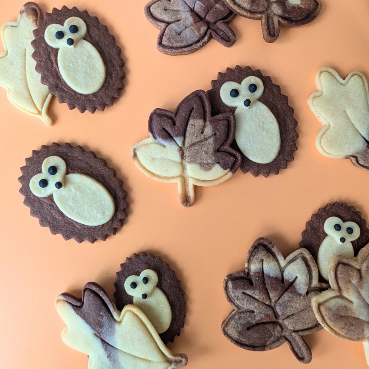 Návrh bez názvu (7)